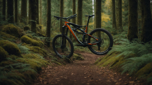 Mountain Biking: A Guide to Exploring the Great Outdoors