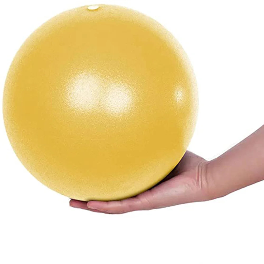 25cm Pilates Yoga Ball-Online Digital Fitness Store