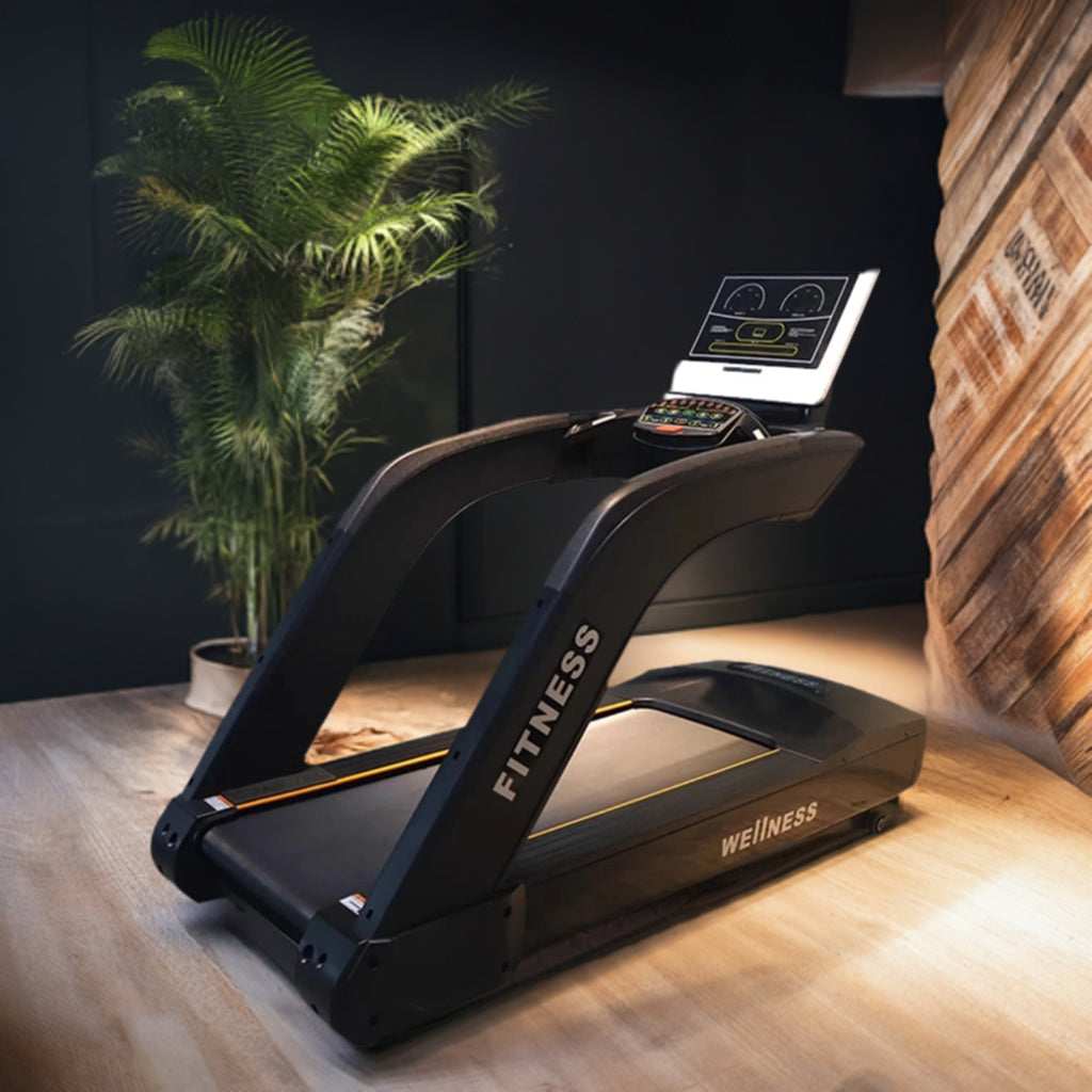 Commercial Treadmill for Sale-Online Digital Fitness Store